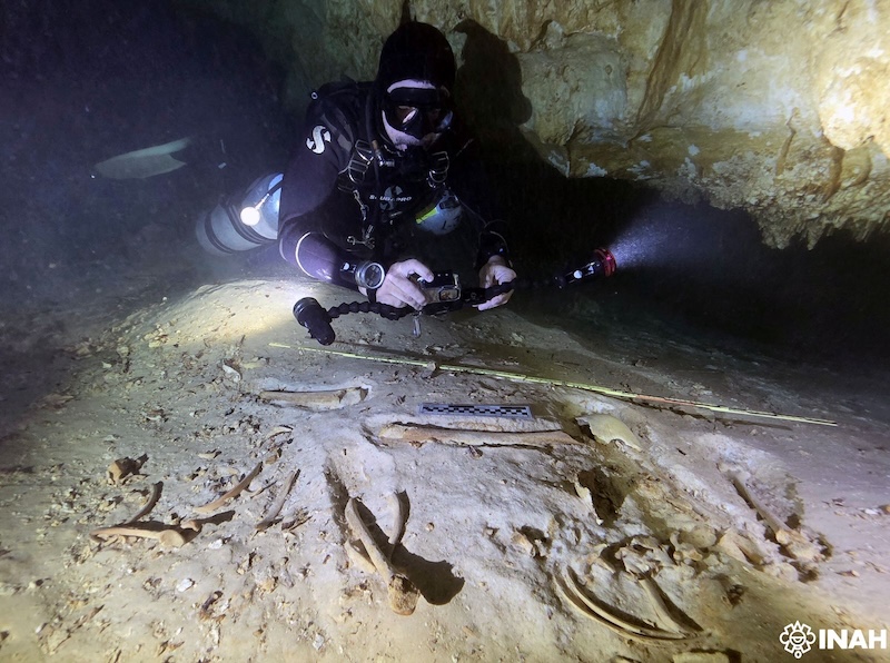 INAH traslada fósiles humanos localizados en Quintana Roo