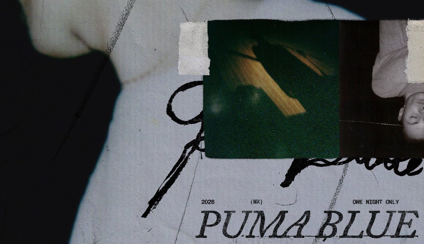 Puma Blue: El renacimiento nocturno y vulnerable