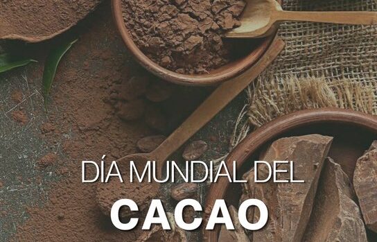 Día del cacao en el Museo del chocolate