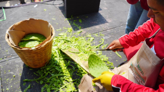Únete al Concurso de Desespinado de Nopal 2026